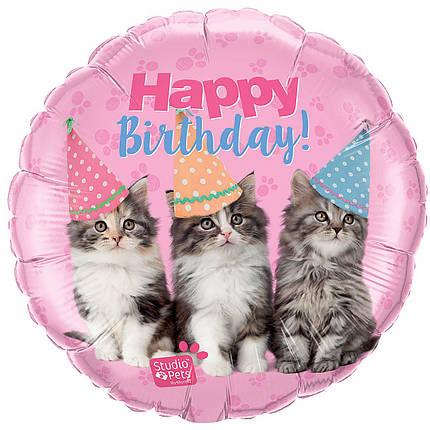 Шар круг  QUALATEX-КВ Happy Birthday - котята (УП)