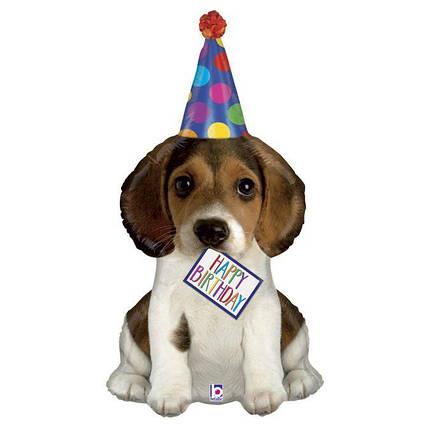 Шар фигура GRABO-ГР Щенок в колпаке Happy Birthday (УП)