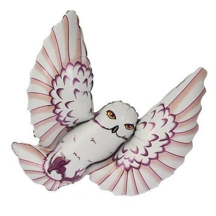 2907643142_w919_h430_figura-flexmetal-fm-sova