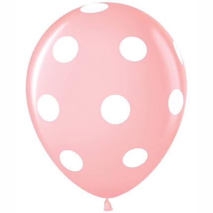 3391563892_w919_h430_500-shar-12